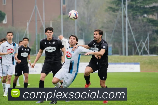 mk官网登录入口平台生态图